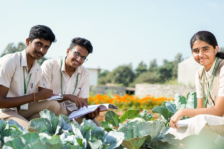 Agriculture Program